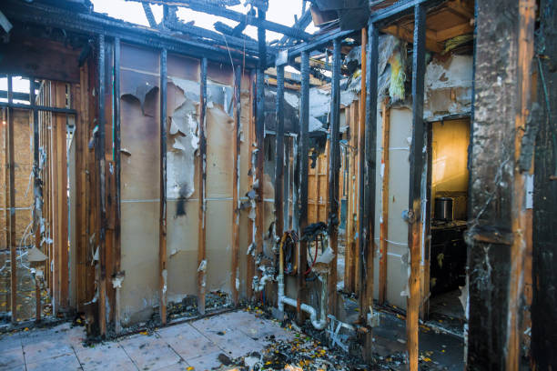 Professional Smoke Damage Removal technician working in Belcourt, ND